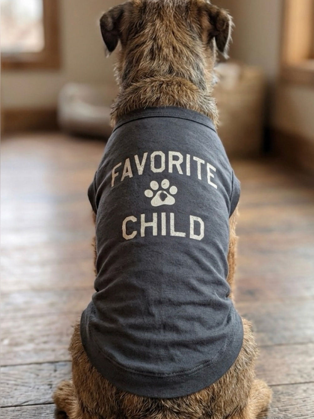 Grayson Pup (2) “Favorite Child" Dog T-Shirt M (14-16”) Charcoal Gray